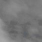 葉雲