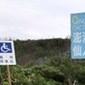 張小紅