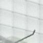 gaga